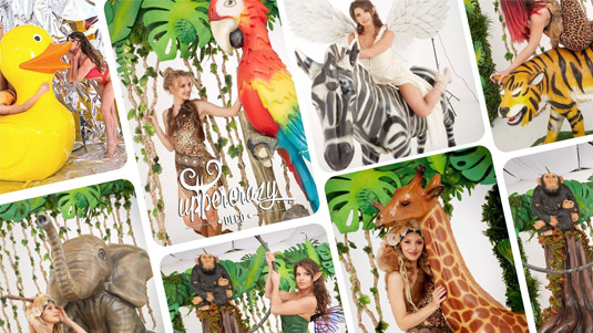 Animale Jungla