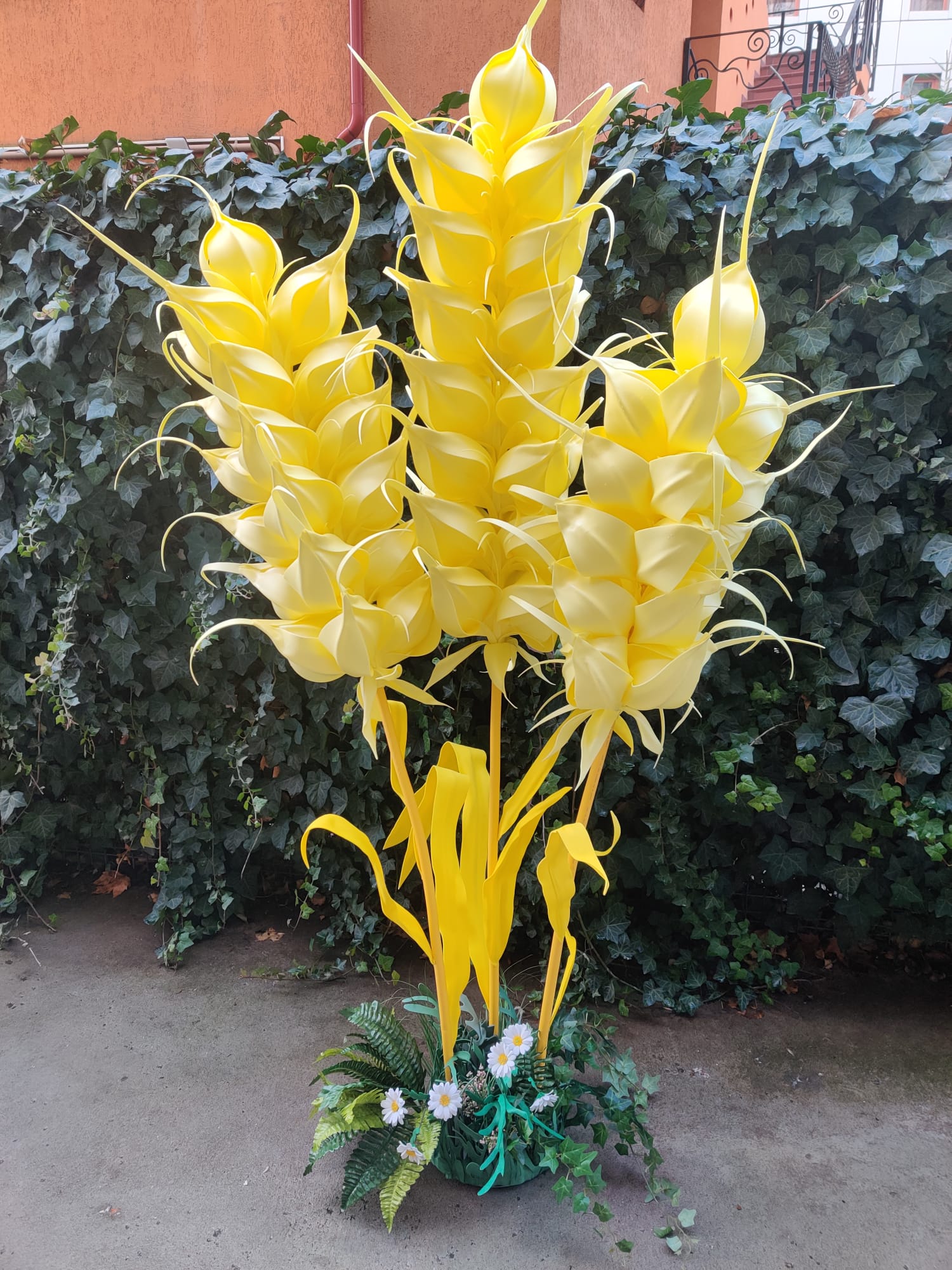 Inchiriere decor Sarbatoarea recoltei, spice grau