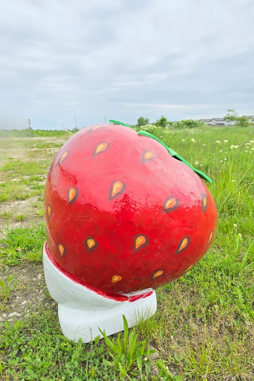 inchiriere decor capsuna