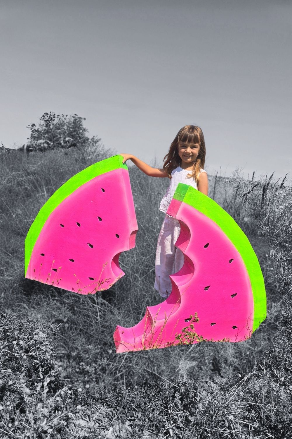 inchiriere felie pepene decor